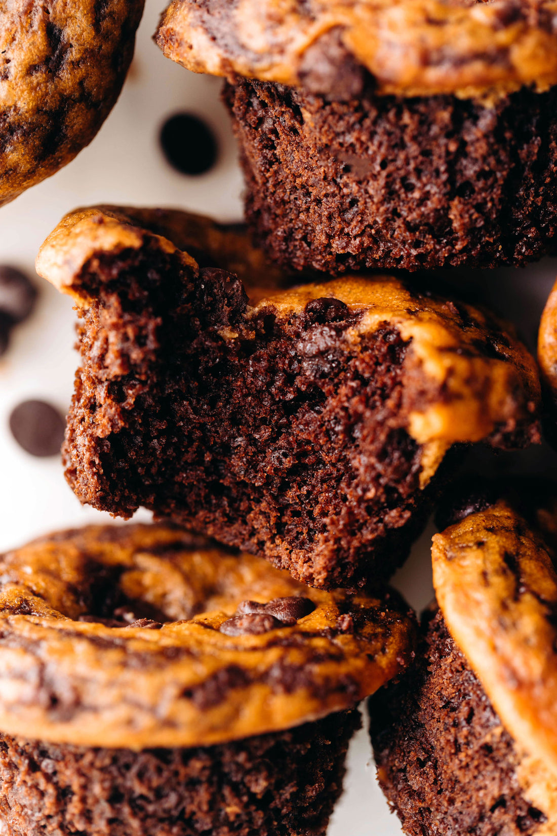 Pumpkin Black Bottom Cupcakes